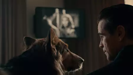 Sugar - galeria zdjęć - filmweb