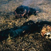 Jason Goes to Hell: The Final Friday - galeria zdjęć - filmweb