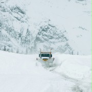 Cold Pursuit - galeria zdjęć - filmweb
