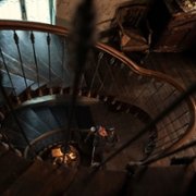 All the Light We Cannot See - galeria zdjęć - filmweb
