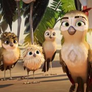 Rysiek superwróbel - galeria zdjęć - filmweb