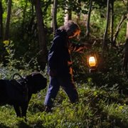 Mru i ja: Wielka przygoda na cztery łapy - galeria zdjęć - filmweb