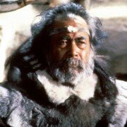 Cień wilka - galeria zdjęć - filmweb