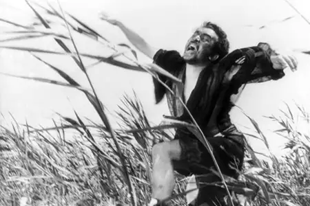 Kobieta-diabeł - galeria zdjęć - filmweb