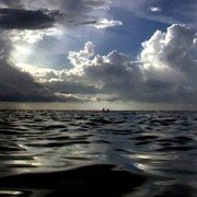 Open Water - galeria zdjęć - filmweb