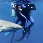 Open Water - galeria zdjęć - filmweb