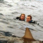 Ocean strachu - galeria zdjęć - filmweb