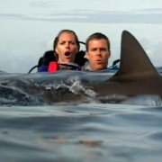 Open Water - galeria zdjęć - filmweb