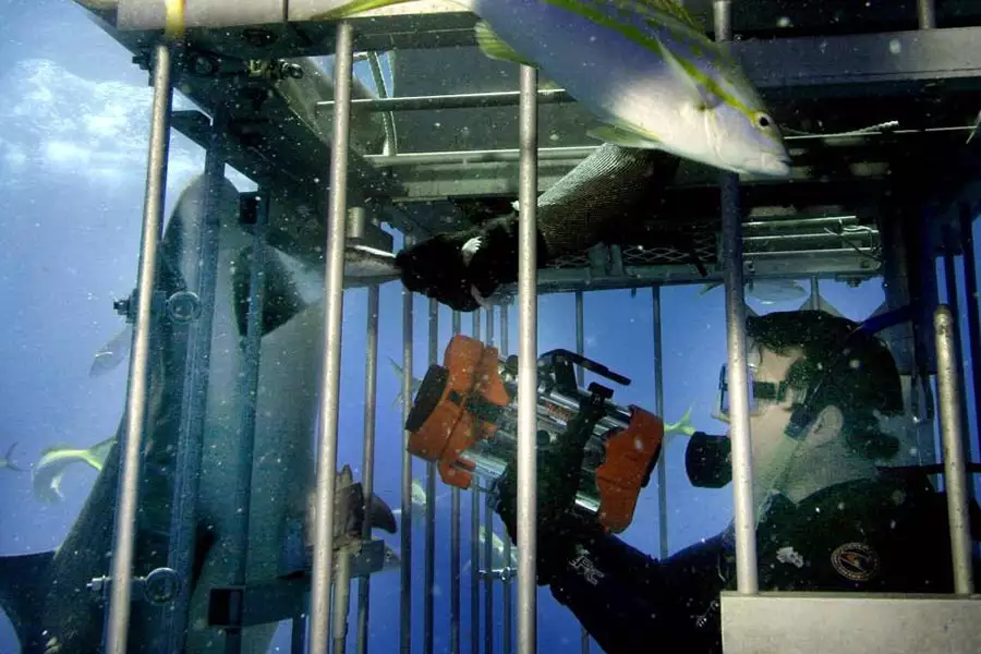 Ocean strachu - galeria zdjęć - filmweb