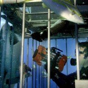 Open Water - galeria zdjęć - filmweb