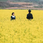 Dobra robota - galeria zdjęć - filmweb