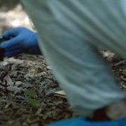 Predikantens Dobbeltliv - galeria zdjęć - filmweb