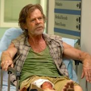 Shameless - galeria zdjęć - filmweb