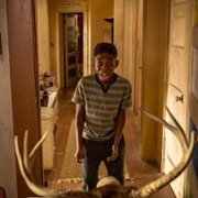 Shameless - galeria zdjęć - filmweb