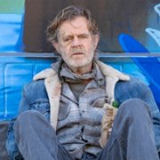 Shameless - galeria zdjęć - filmweb