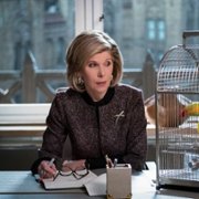 The Good Fight - galeria zdjęć - filmweb