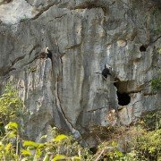 Earth: One Amazing Day - galeria zdjęć - filmweb