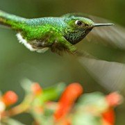 Earth: One Amazing Day - galeria zdjęć - filmweb