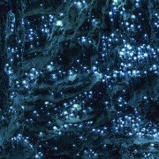 Earth: One Amazing Day - galeria zdjęć - filmweb