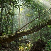 Earth: One Amazing Day - galeria zdjęć - filmweb