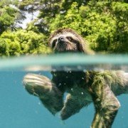 Earth: One Amazing Day - galeria zdjęć - filmweb