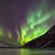 Earth: One Amazing Day - galeria zdjęć - filmweb