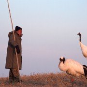 Earth: One Amazing Day - galeria zdjęć - filmweb