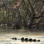 Martwa rzeka - galeria zdjęć - filmweb