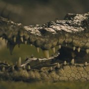 007: Road to a Million - galeria zdjęć - filmweb