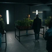 Langer - galeria zdjęć - filmweb