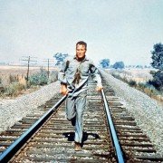 Cool Hand Luke - galeria zdjęć - filmweb