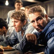 Cool Hand Luke - galeria zdjęć - filmweb