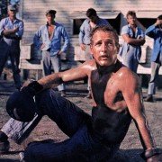 Cool Hand Luke - galeria zdjęć - filmweb
