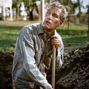Cool Hand Luke - galeria zdjęć - filmweb