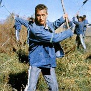 Cool Hand Luke - galeria zdjęć - filmweb