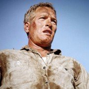 Cool Hand Luke - galeria zdjęć - filmweb