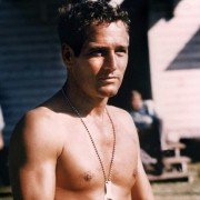 Cool Hand Luke - galeria zdjęć - filmweb