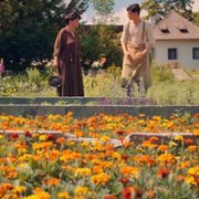 Szarlatan - galeria zdjęć - filmweb