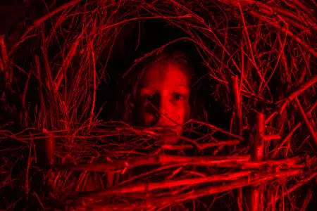 Klasyczny horror - galeria zdjęć - filmweb