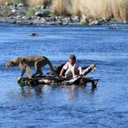Duma - galeria zdjęć - filmweb
