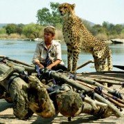 Duma - galeria zdjęć - filmweb