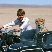 Duma - galeria zdjęć - filmweb