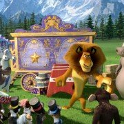 Madagaskar 3 - galeria zdjęć - filmweb