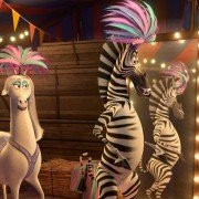 Madagascar 3: Europe's Most Wanted - galeria zdjęć - filmweb