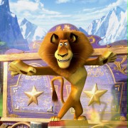 Ben Stiller w Madagaskar 3