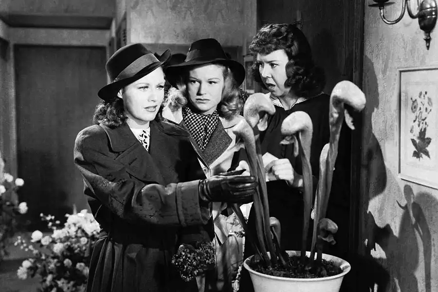 Kitty Foyle - galeria zdjęć - filmweb