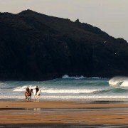 Summer in February - galeria zdjęć - filmweb