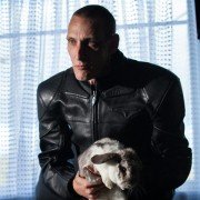 The Blue Rose - galeria zdjęć - filmweb