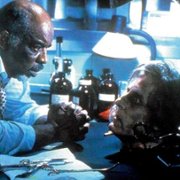 Bride of Re-Animator - galeria zdjęć - filmweb