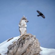 Śnieg - galeria zdjęć - filmweb